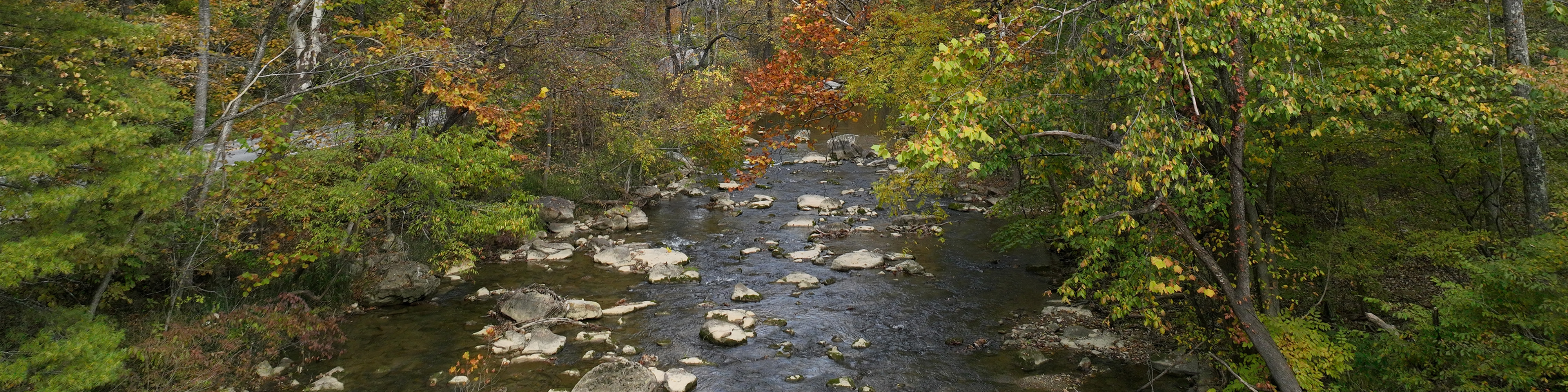 North Fork creek