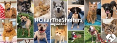 2026 Clear the Shelters Image - Animal Care and Adoption Center