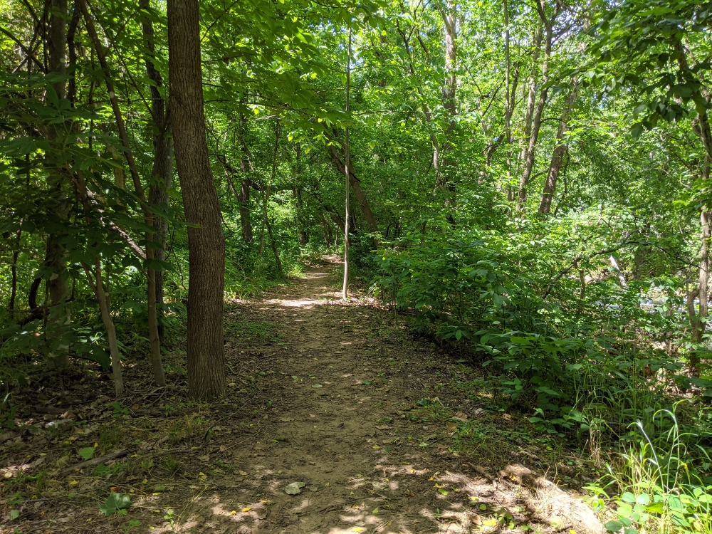 An inviting trail winds through the trees along the South Fork of the Roanoke River on a summer day.