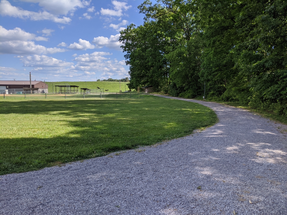 The walking path at McCoy Park is composed of gravel with with very little elevation gain, with trees on one side and open green space on the other side.