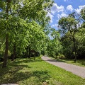 The paved Huckleberry Trail winds through the trees on a sunny summer day.