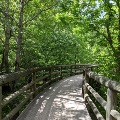A large wooden bridge surrounded by forest leads into Coal Mining Heritage Park on a sunny summer day.