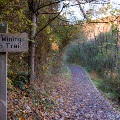 The Coal Mining Loop Trail in the fall.