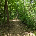 An inviting trail winds through the trees along the South Fork of the Roanoke River on a summer day.