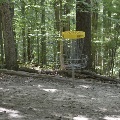 A disc sails into a basket on the Golden Hills Disc Golf Course amidst the forest.