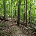 The Nature Trail at Mid County Park winds through the trees.