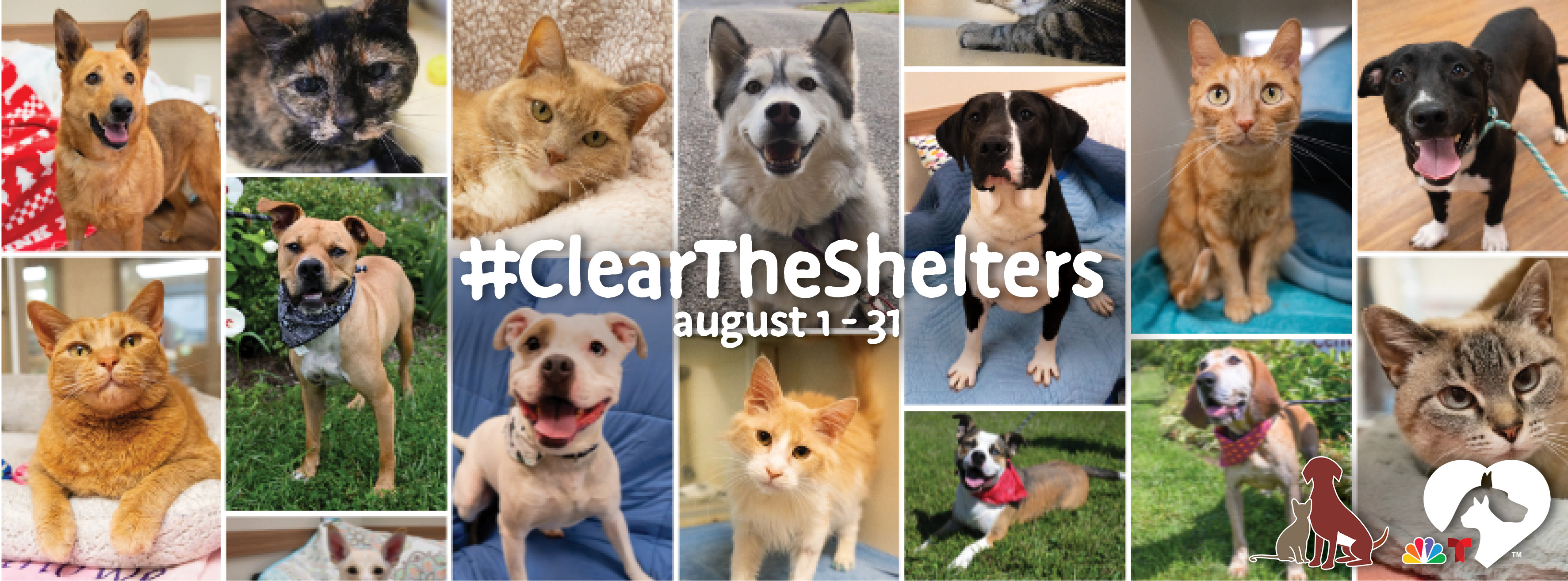 Clear the Shelters August 1-31, 2026 Clear the Shelters August 1-31, 2026